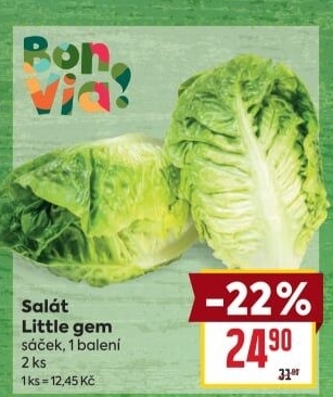 Salát little gem Billa Bonvia