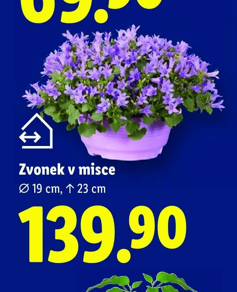 Zvonek v misce