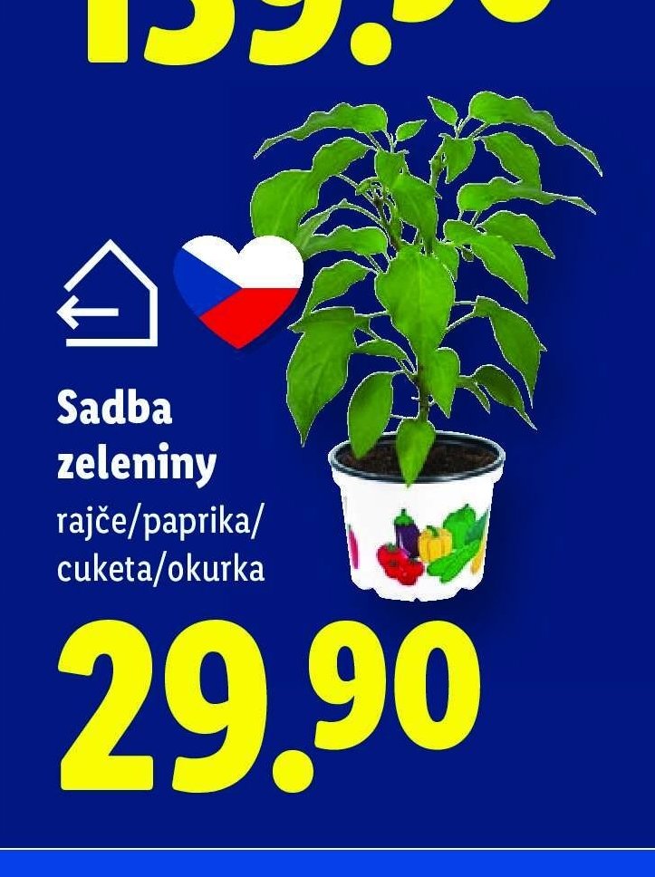 Sadba zeleniny