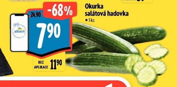 Okurka salátová - hadovka