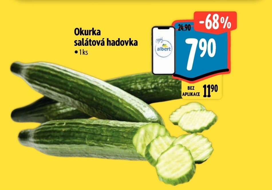 Okurka salátová - hadovka