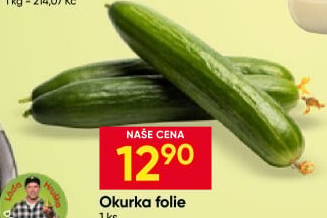 Okurka salátová - hadovka