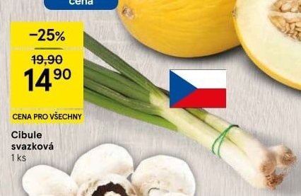 Jarní cibule svazek