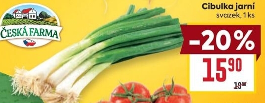 Jarní cibule svazek Česká farma