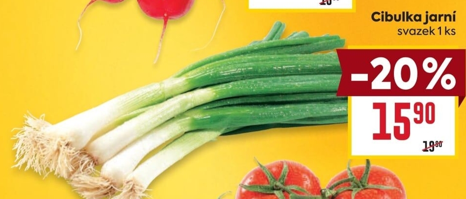 Jarní cibule svazek Česká farma