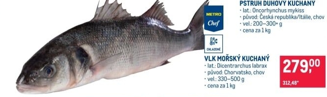 Vlk mořský kuchaný Metro Chef
