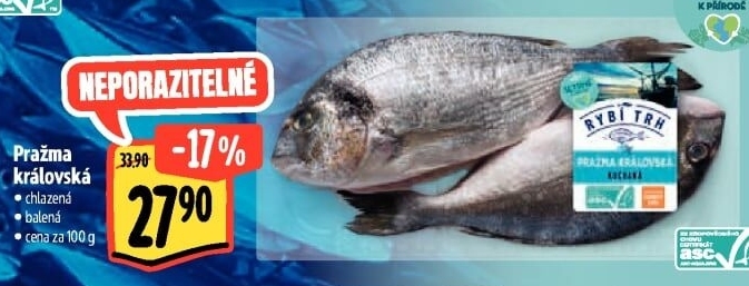 Pražma královská Albert