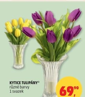 Řezané tulipány