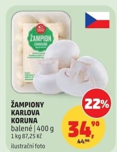 Žampiony Karlova Koruna