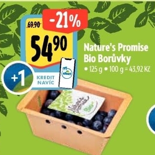 Borůvky bio Nature'