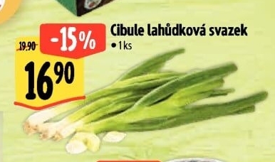 Jarní cibule svazek