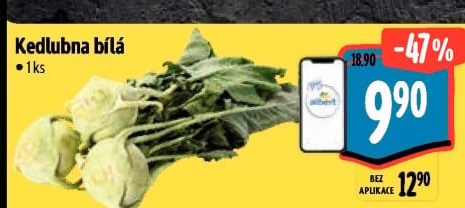 Kedlubna bílá