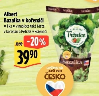 Bylinky v květináči Albert