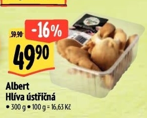 Hlíva ústřičná Albert