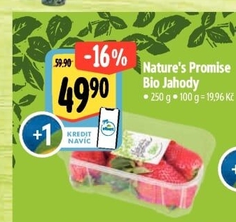 Jahody bio Nature'