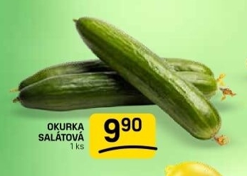 Okurka salátová - hadovka