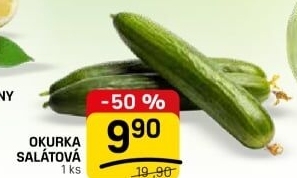Okurka salátová - hadovka