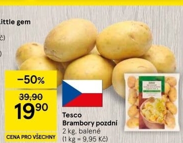 Brambory konzumní pozdní Tesco