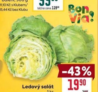 Salát ledový Billa Bonvia