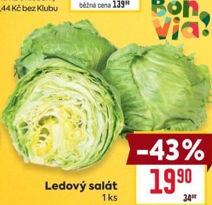 Salát ledový Billa Bonvia