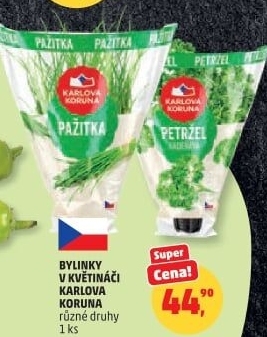 Bylinky v květináči Karlova Koruna