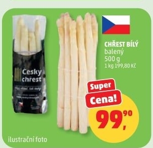 Chřest bílý
