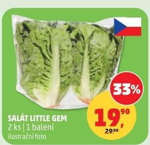 Salát little gem