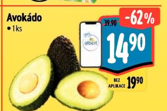 Avokádo