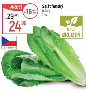 Salát římský