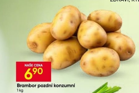 Brambory konzumní pozdní