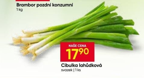 Jarní cibule svazek