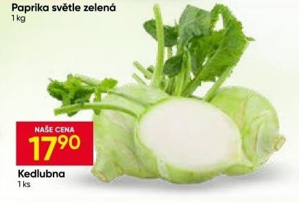 Kedlubna bílá