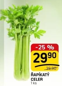 Celer řapíkatý