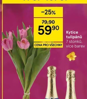Řezané tulipány