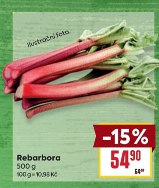 Rebarbora