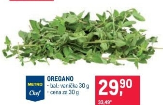 Oregano čerstvé Metro Chef