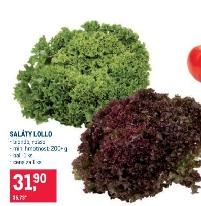 Salát lollo rosso