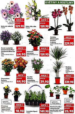 akční leták Kaufland 13.5.2026-19.5.2026
