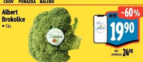 Brokolice Albert