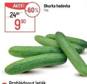 Okurka salátová - hadovka