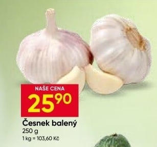 Česnek