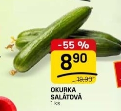Okurka salátová - hadovka