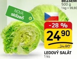 Salát ledový