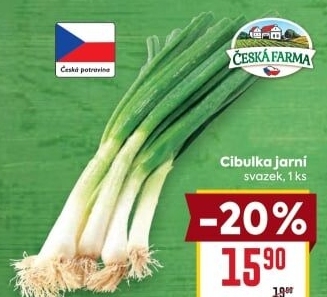Jarní cibule svazek Česká farma