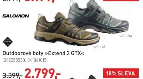 Dámská outdoorová obuv Extend 2 GTX Salomon