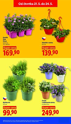 akční leták Lidl 18.5.2026-24.5.2026