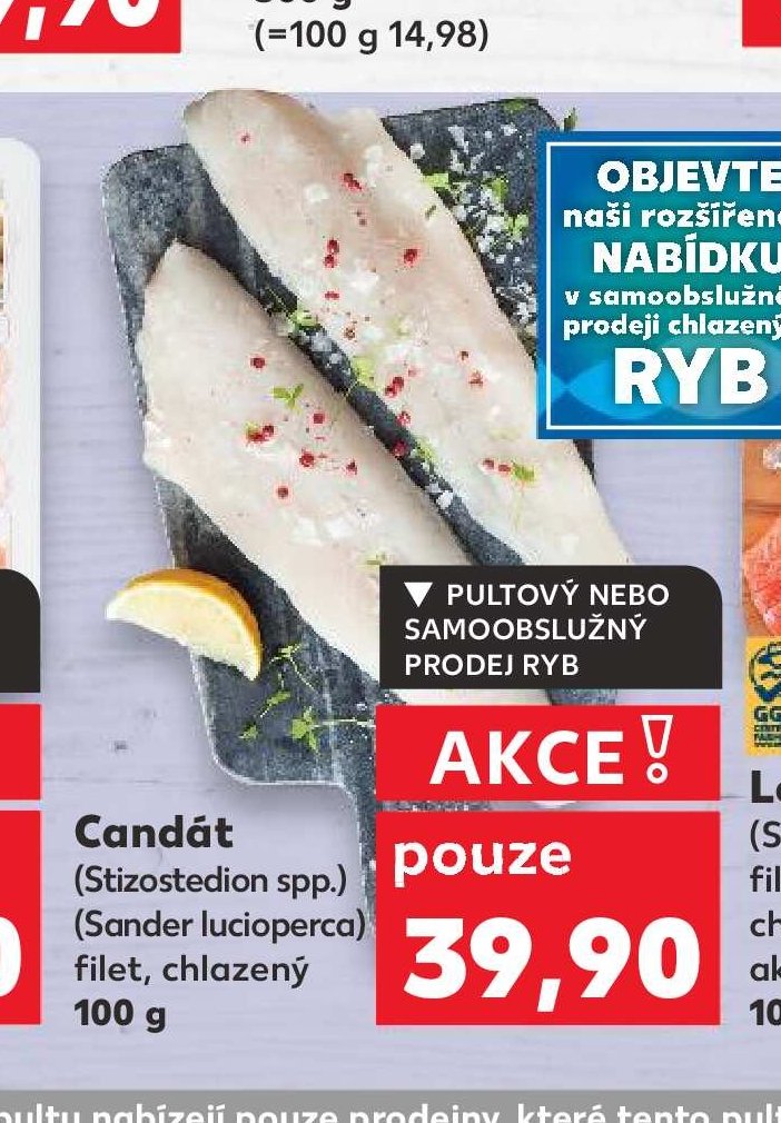 Candát filet, chlazený
