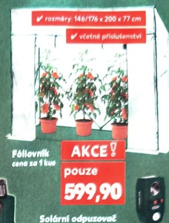 Fóliovník