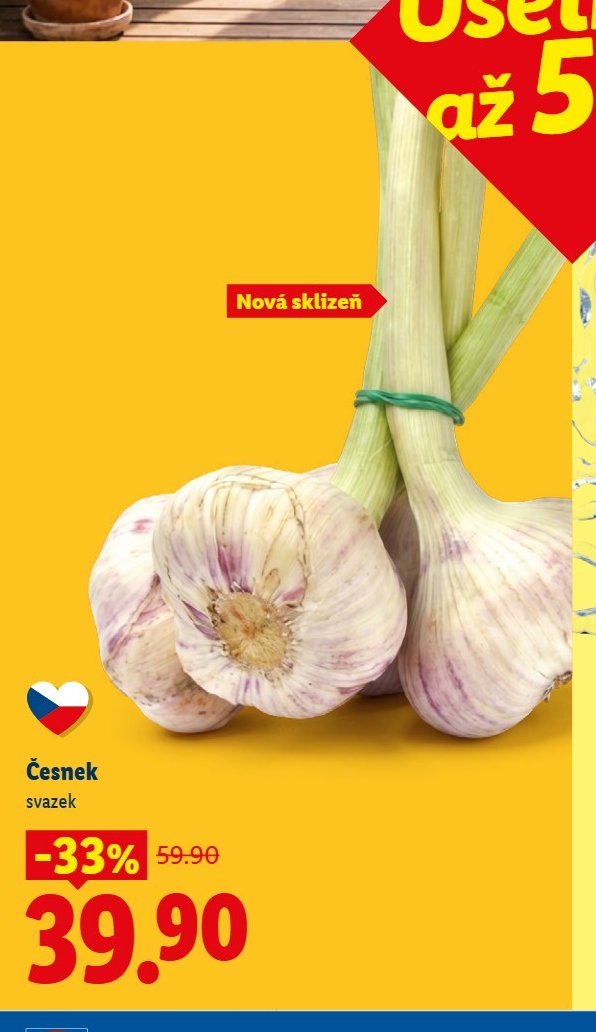 Česnek