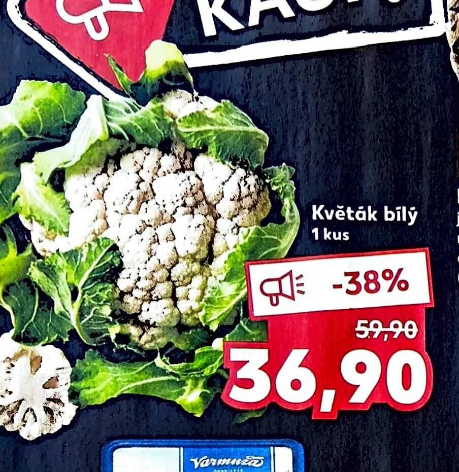 Květák bílý